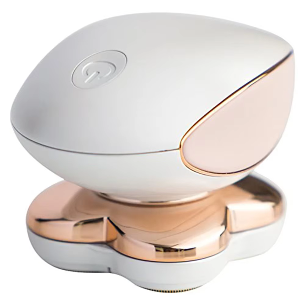 Épilateur Électrique Indolore pour Femme, Rasoir pour Jambes, Corps, Aisselles, Visage et Menton