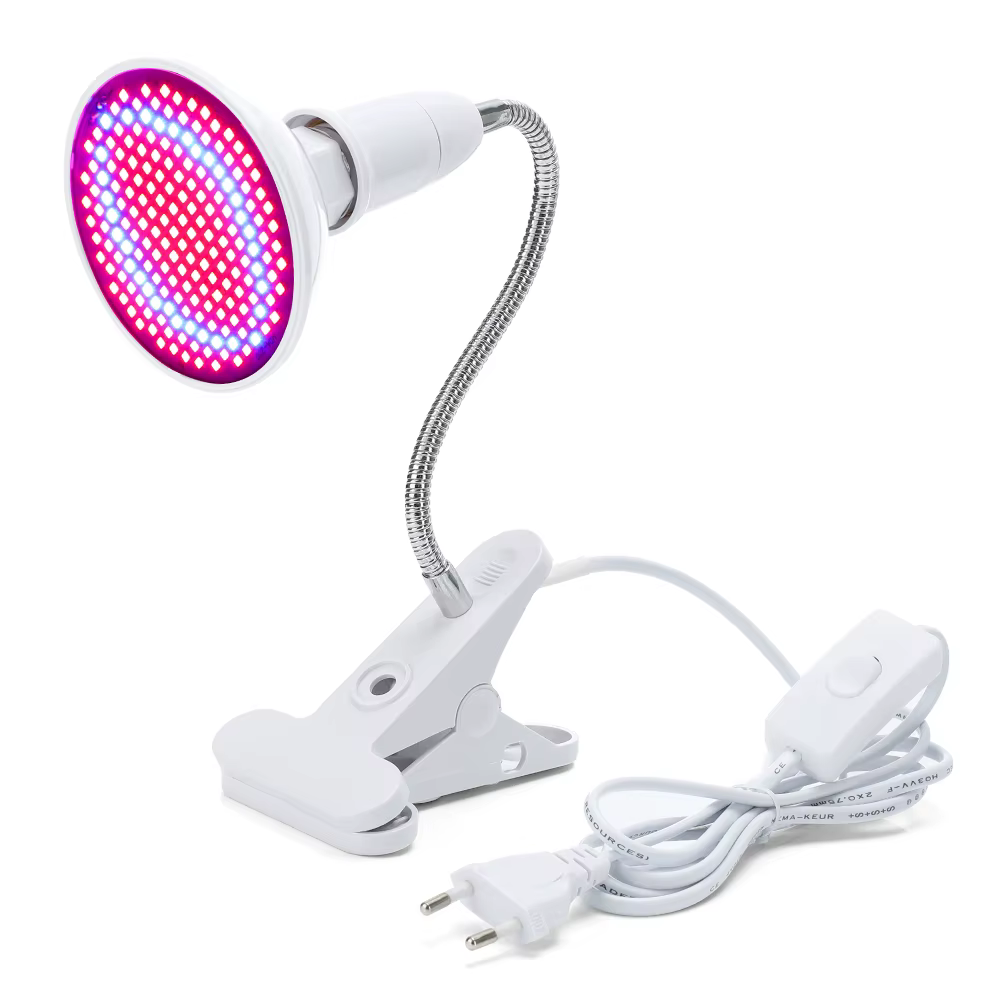 Appareil de thérapie Photon à lumière LED rouge bleue pour rajeunissement du visage, soin coréen pou