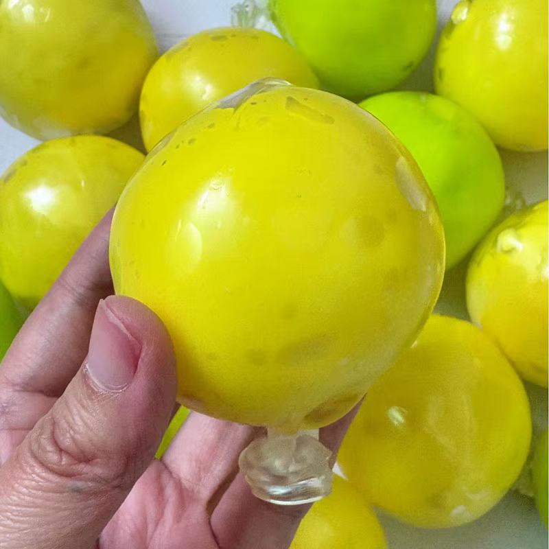 Jouet anti-stress en pâte à modeler fait main, motif citron et pomme, avec son craquant, doux et à r