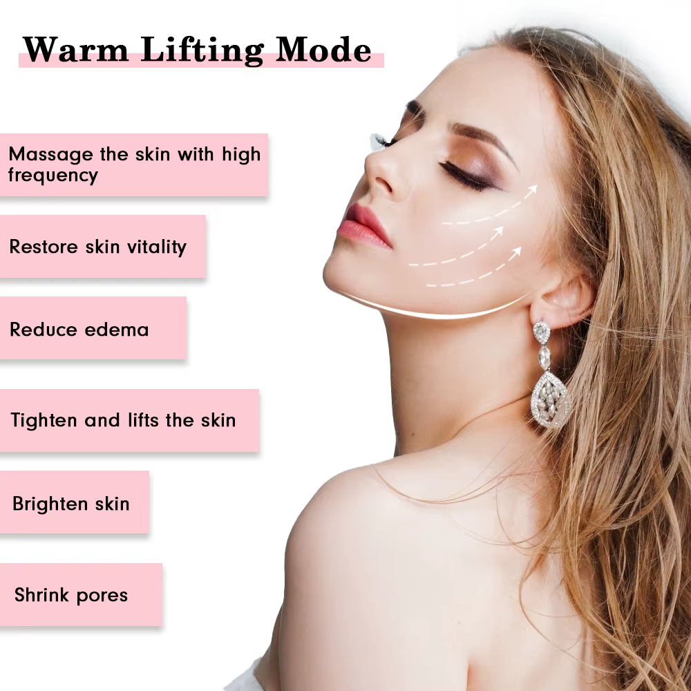 Masseur de visage rajeunissement de la peau Radio mésothérapie LED Lifting