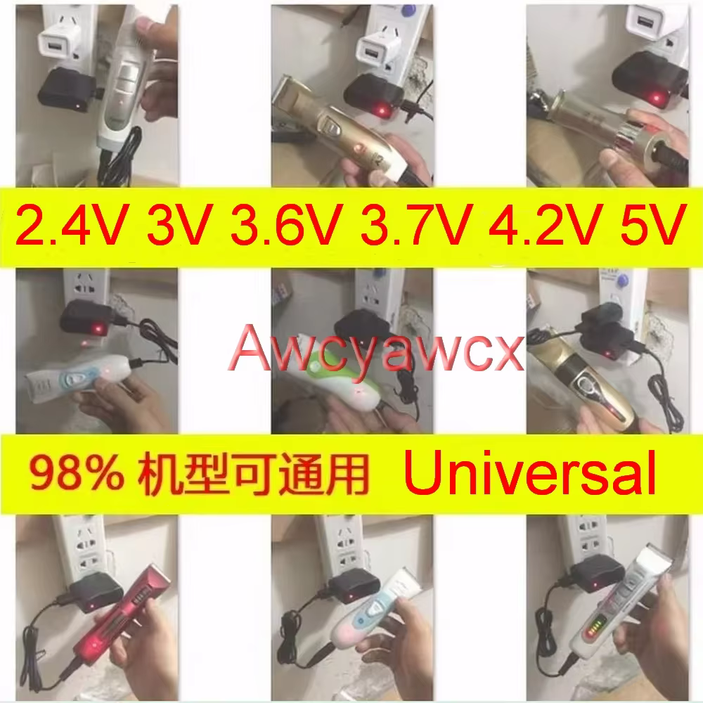 DC 2.4V 3V 3.6V 3.7V 4.2V 4.3V 5V 1A 1000mA rasoir électrique USB câble prise chargeur d'alimentation animal de