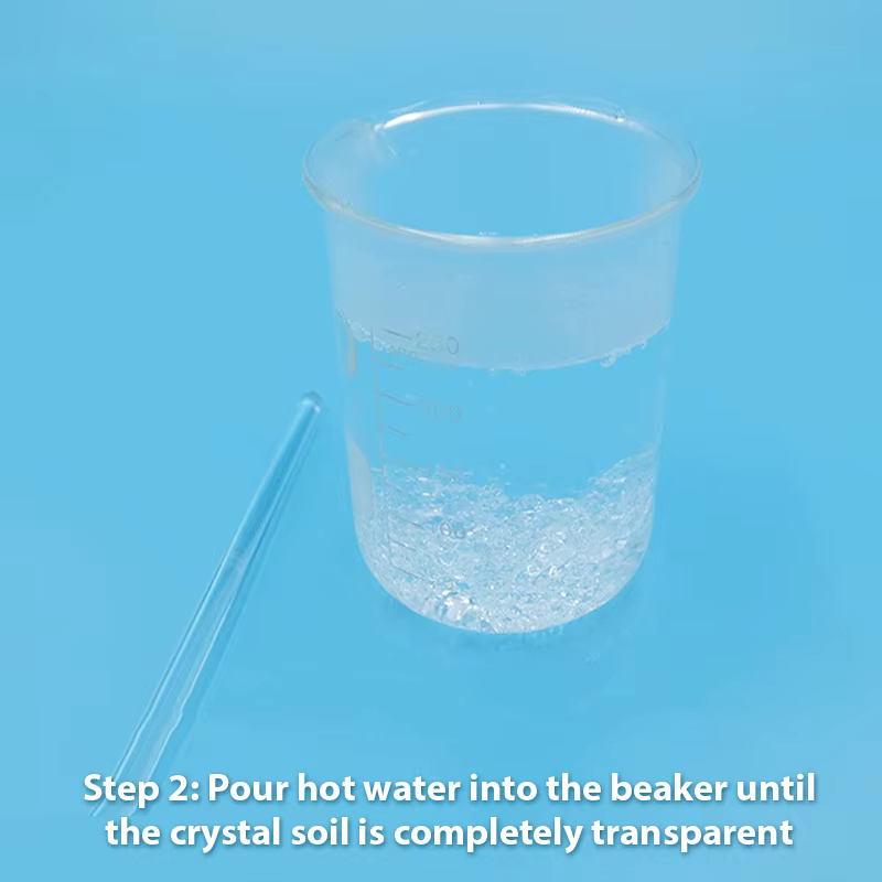 Granulés Thermoplastiques Polymorphes 50g/100g Outil DIY Céramique Polycaprolactone Plastique de Haute Qualité pour Artisanat et Modélisation