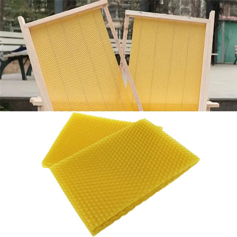 Kit de feuilles de cire d'abeille