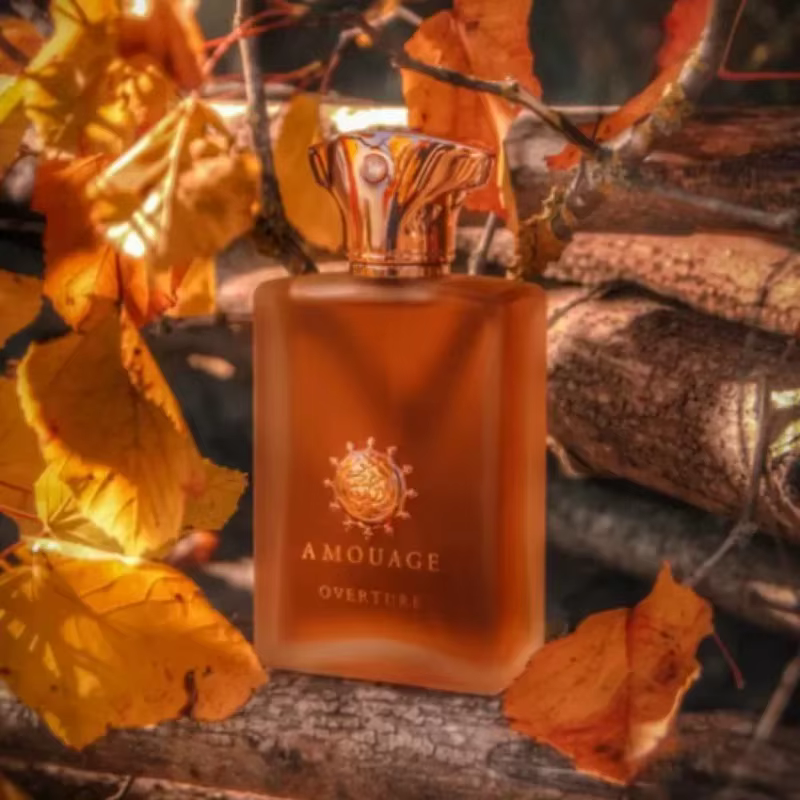 AMOUAGE unisexe Eau De Parfum 100ml Woody Oriental arabe Parfum réflexion Opus Epic mémoir Royal tabac longue durée