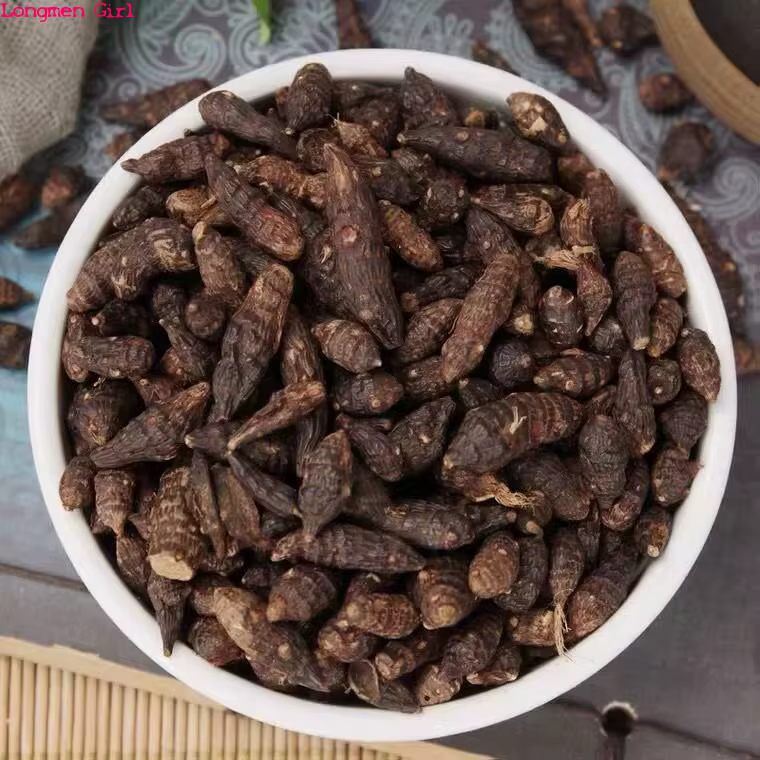 Top naturel Cyperus Rotundus L. Xiang Fu Zi polyvalent pour bricolage artisanat savon bougie faisant la décoration intérieure