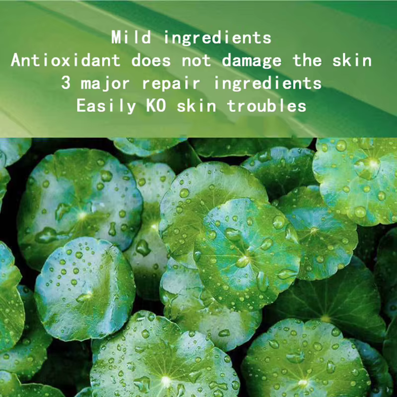 Centella – masques faciaux au collagène pour dormir