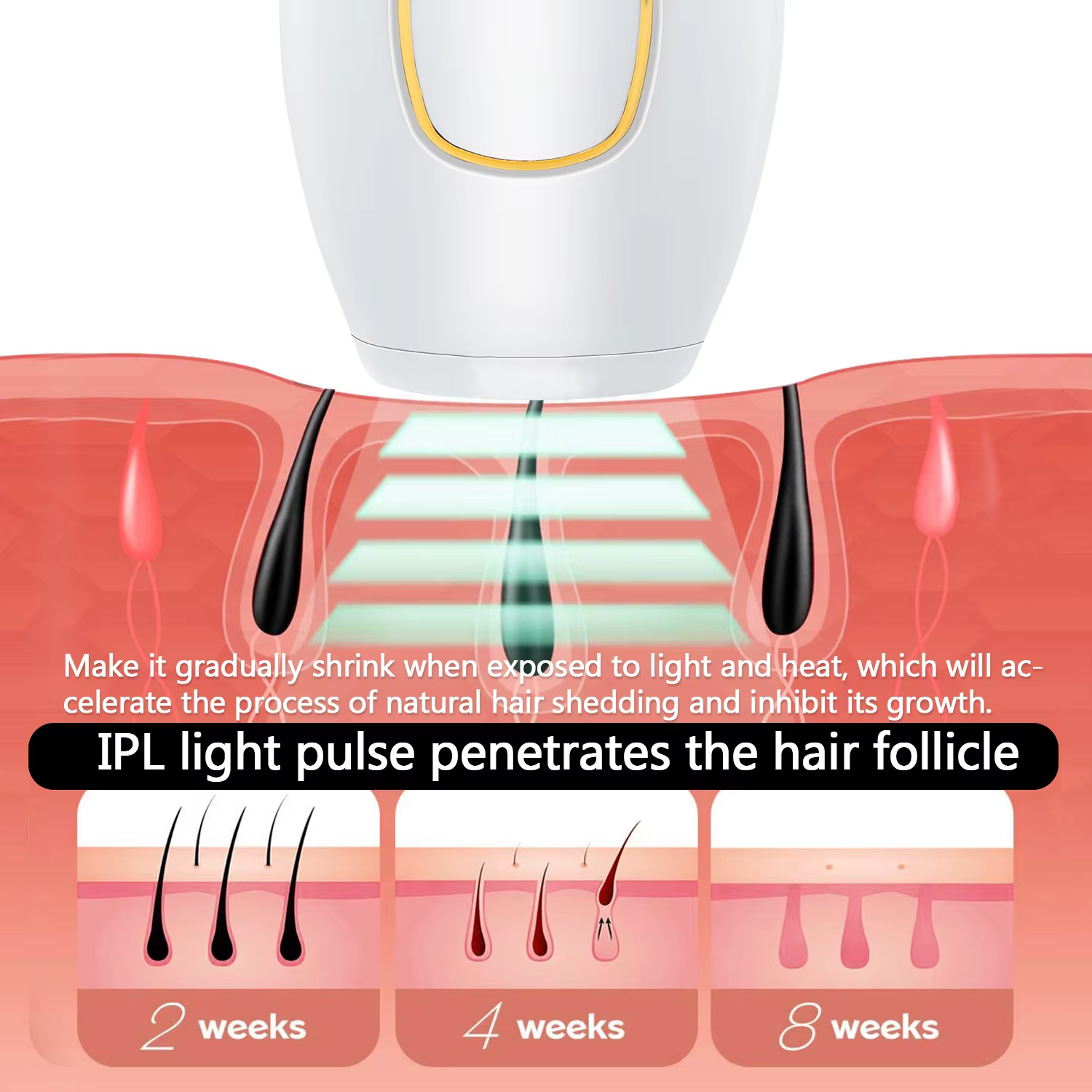 Épilateur Laser IPL corps Bikini épilation