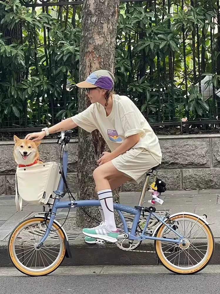 Sac en toile pliable pour vélo Bromsilice, panier style rétro avec cadre intérieur 35.5x25.5cm