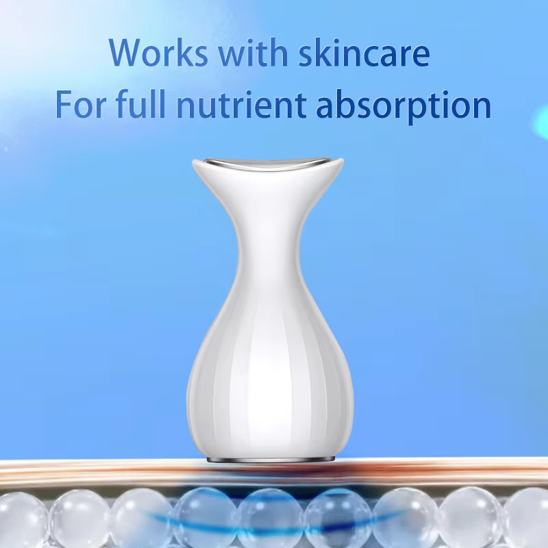 Masseur facial portable à froid glacé pour raffermir la peau