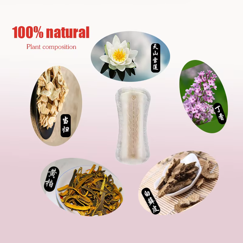 20 pièces/Jnow Lotus tampons de soins femmes serviettes hygiéniques sain naturel à base de plantes sous-vêtements serviettes hygiéniques femmes serviettes gynécologiques