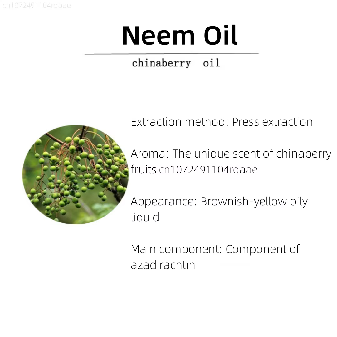 Huile de Neem Bio - Huile d'encens spirituelle pour la méditation, le yoga, la prière, la peau, les cheveux, désodorisant, diffuseur d'arômes, parfum d'intérieur