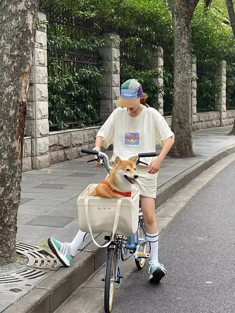 Sac en toile pliable pour vélo Bromsilice, panier style rétro avec cadre intérieur 35.5x25.5cm