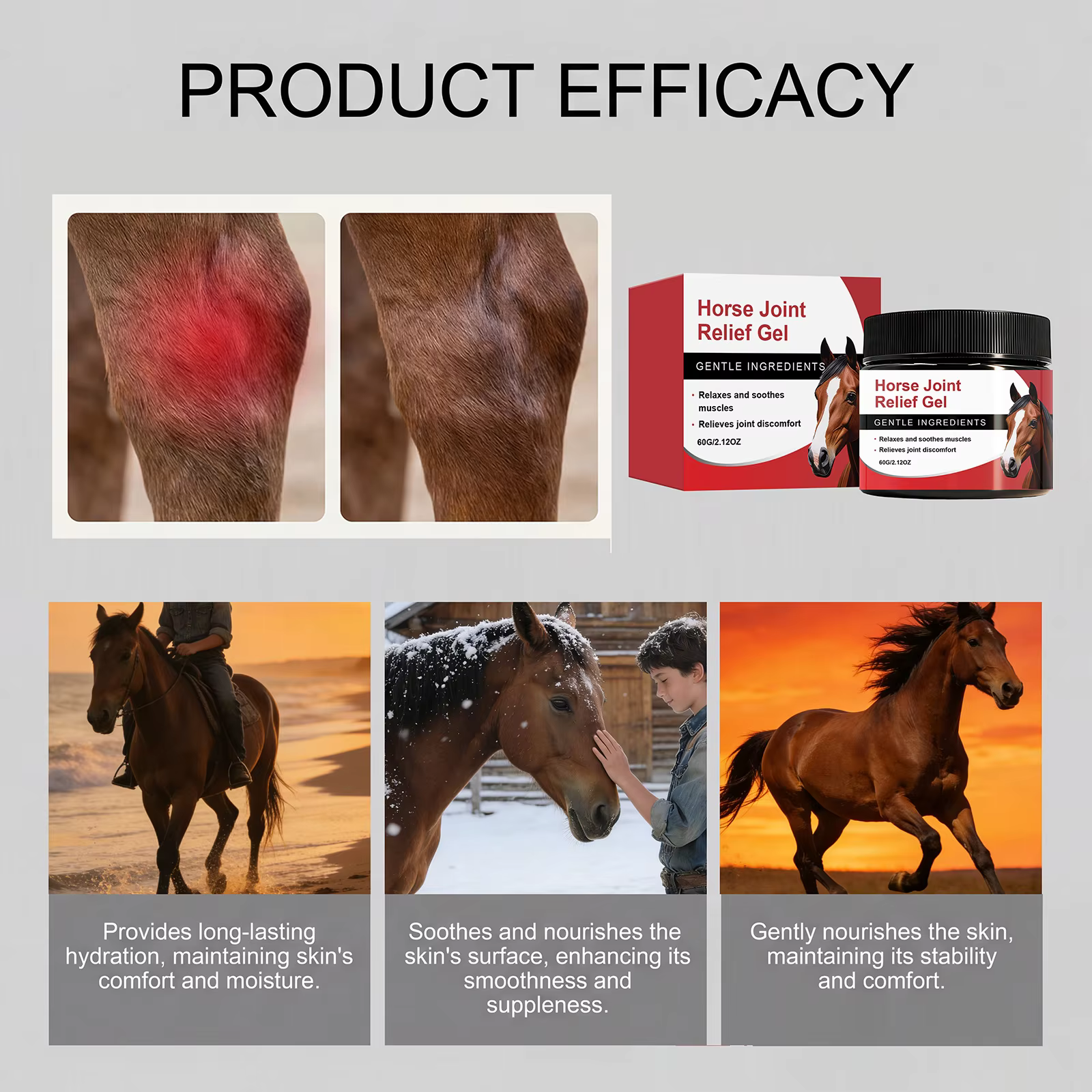 Gel pour les muscles et les articulations des chevaux avec calendula naturelle Q10, soin apaisant pour la peau, pour le confort équin, gel de récupération léger pour l'entraînement, 60g